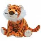 Oasis the Tiger