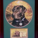 Chocolate Lab (w/Puppy in Box)