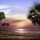 Palmetto Sunrise