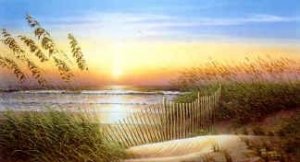 Sunrise Seranade