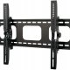 Mounts & Stands