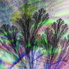 Opus Abstractus 102