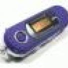 1-GB MP3 Player+ FM Tuner + Flash Disk