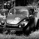 VW Beetle 2