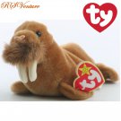 Ty Beanie Baby Paul