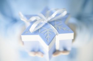 Silver Executive Package