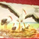 Antique Chocolate Ad Ephemera Storks
