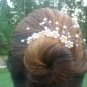 Daisy Spray Hairpin