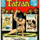 TARZAN DC-19 DC Comics 1973 GIANT 100 PAGE SPECTACULAR