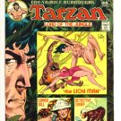 TARZAN #234 DC Comics 1974 GIANT 100 PAGE SPECTACULAR