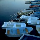 Docked Boats 2