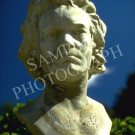 Bust(ed)