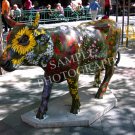 Cows On Parade - Alpine Explosion