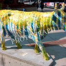 Cows On Parade - Cowlorado The Beautiful