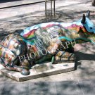 Cows On Parade - Fifty Moo-Eighty
