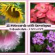 Greeting, Note & Gift Cards