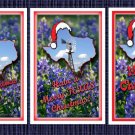 Texas Christmas Cards Set of 6