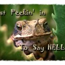 Hello Greeting Card with Toad