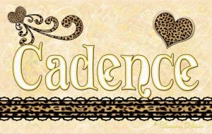Personalized Leopard Accent Girly Sign