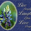 Bluebonnet Wall Decor Art Print