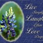 Bluebonnet Wall Decor Art Print