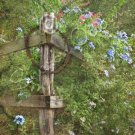 Rustic Country Fence Home Decor Print