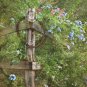 Rustic Country Fence Home Decor Print