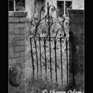 Rustic Iron Gate Fine Art Photography in Black and White