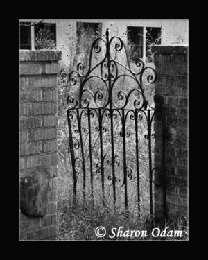Rustic Iron Gate Fine Art Photography in Black and White