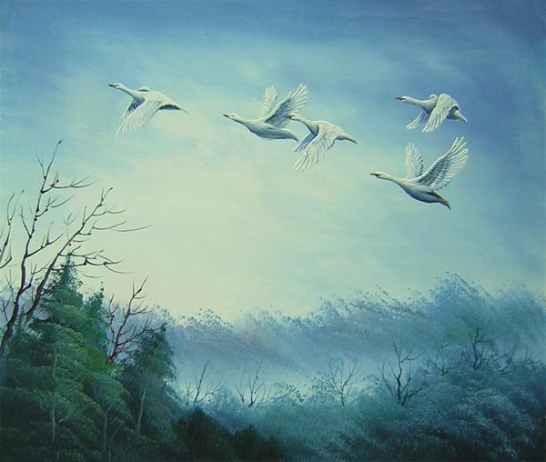 birds