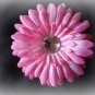 Pink Rhinestone Daisy Flower Clip