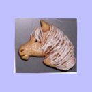 Pony Head Palomino