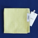 NWT Armani Collezioni Lime Textured 100% Silk Handkerchief Pocket Square