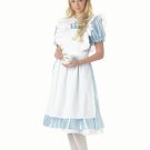 Size: Small #01191 Classic Alice In Wonderland Queen of Hearts Adult Costume Size: Small #01191 Classic Alice In Wonderland Queen of Hearts Adult Costume