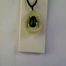 Lucite Jewelry Real Bug Insect Red-legged Rutelian Chafer Necklace
