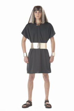 Size:  X-Large #00935  Biblical King Tut Egyptian Pharaoh Adult Costume