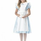 Size: Small #00602  Disney Alice In Wonderland Child Costume