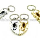 Real Scorpion Half Heart Key Chain - Insect Valentine Jewelry Real Scorpion Half Heart Key Chain - Insect Valentine Jewelry