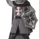 Renaissance Dragon Slayer Child Costume 00276 Renaissance Dragon Slayer Child Costume 00276