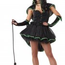 Size: Small #01221 Wizard of Oz Bewitching Wicked Witch Adult Costume Size: Small #01221 Wizard of Oz Bewitching Wicked Witch Adult Costume