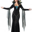 Size: X-Large #01231 Disney Evil Sorceress Witch Adult Costume Size: X-Large #01231 Disney Evil Sorceress Witch Adult Costume