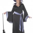 Plus Size: 1X-Large #01646  Wicked Incantasia the Glamour Witch Adult Costume