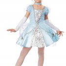 Size: Small #00417 Princess Cinderella Deluxe Child Costume Size: Small #00417 Princess Cinderella Deluxe Child Costume