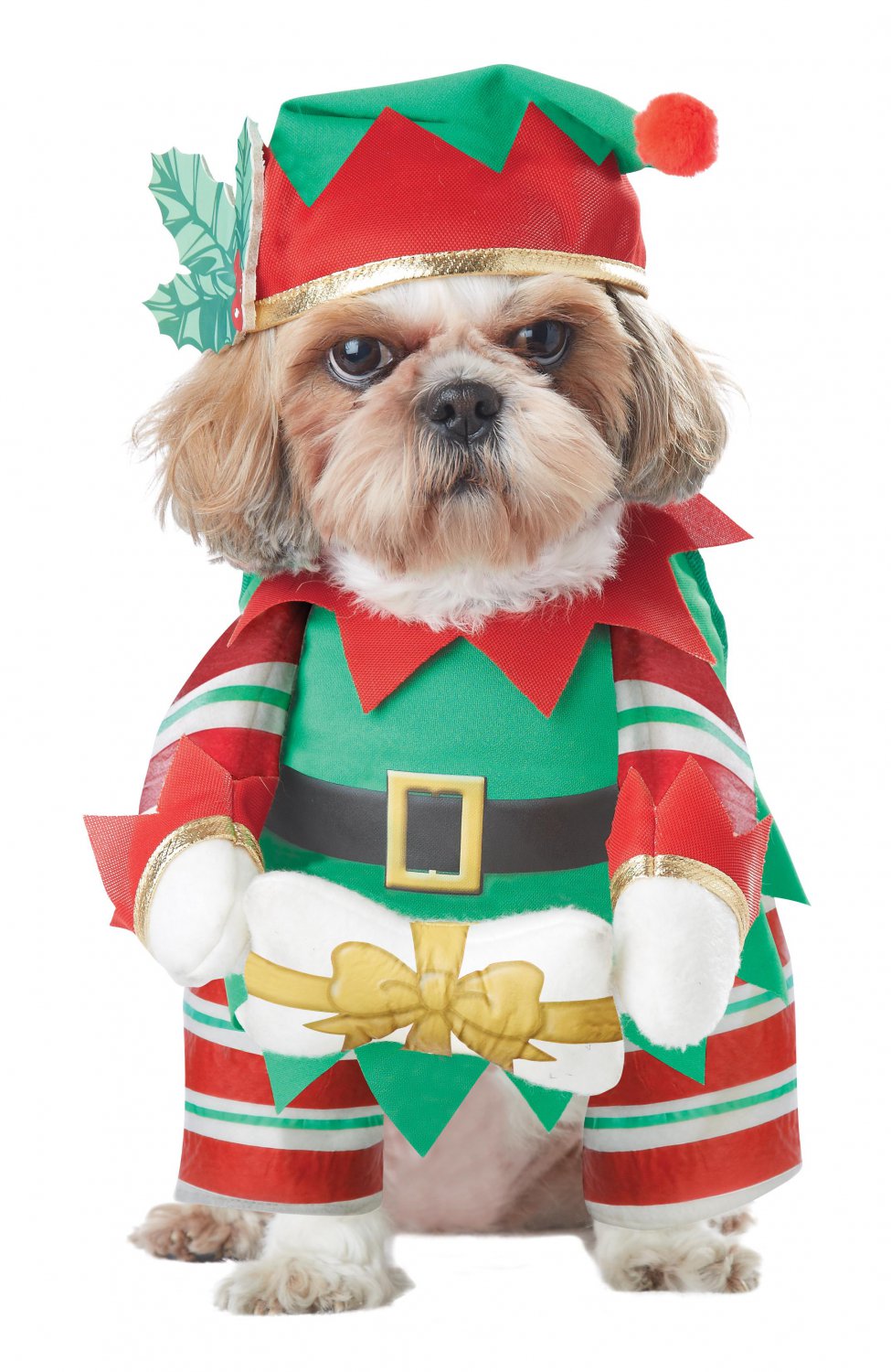 Dog Christmas Elf Costume 