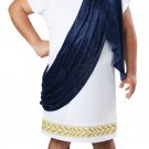 Plus Size #01758 Gladiator Roman Greek 300 Grecian Toga Adult Costume Plus Size #01758 Gladiator Roman Greek 300 Grecian Toga Adult Costume