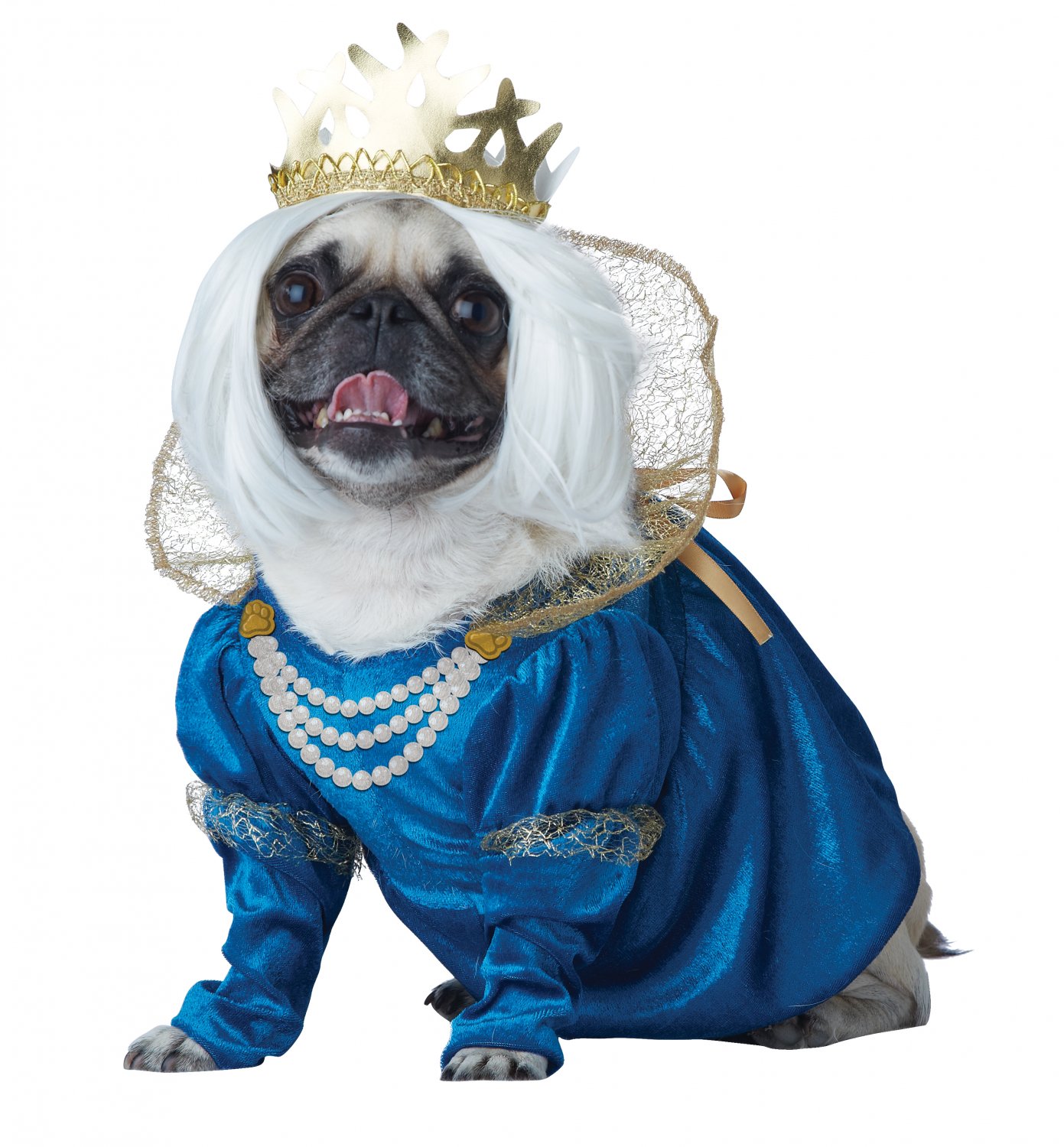 Size: X-Small #20139 Renaissance Queen of Bones Pet Dog Costume