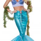 Size: Large #01299 Disney Ariel Sexy Deluxe Mermaid Adult Costume Size: Large #01299 Disney Ariel Sexy Deluxe Mermaid Adult Costume