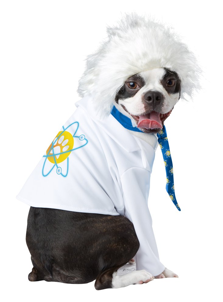 Size: Small #20150 All Bark Albert Einstein Pet Dog Lab Coat Costume