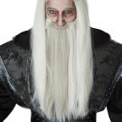 #70900 Dark Wizard The Lord of the Ring Gandalf Game of Thrones Costume Accessory Wig and Beard #70900 Dark Wizard The Lord of the Ring Gandalf Game of Thrones Costume Accessory Wig and Beard