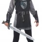 Size: Large #00574 Renaissance Noble Knight Warrior Medieval Times Girl Child Costume